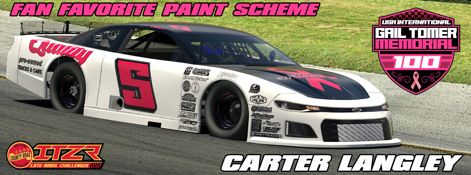 Carter Langley wins the LMCS Pink Out Paint Contest!